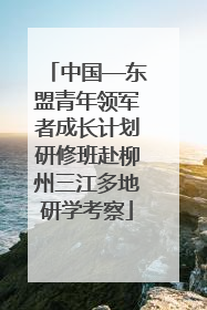 中国—东盟青年领军者成长计划研修班赴柳州三江多地研学考察